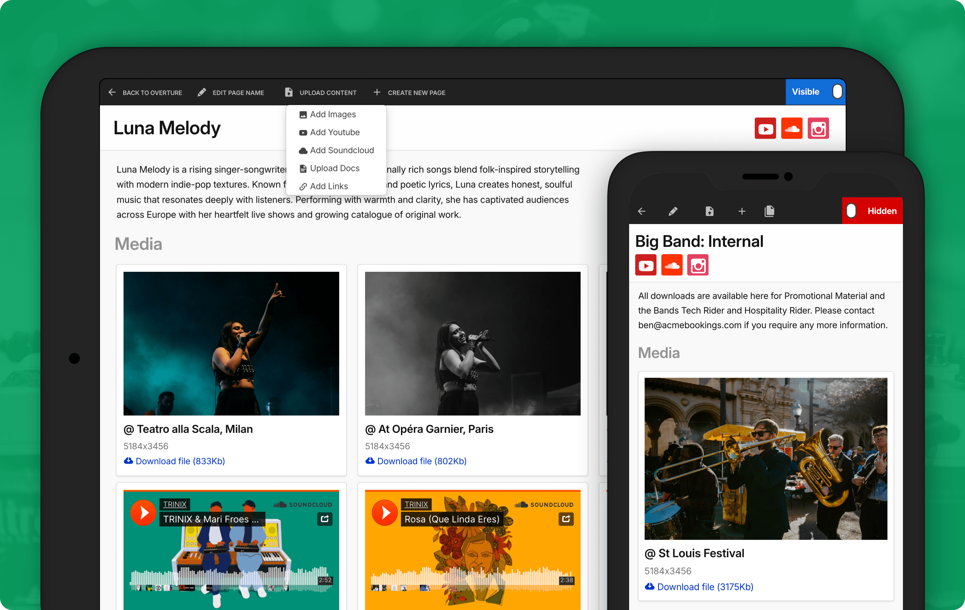 Artist media kit builder in Overture